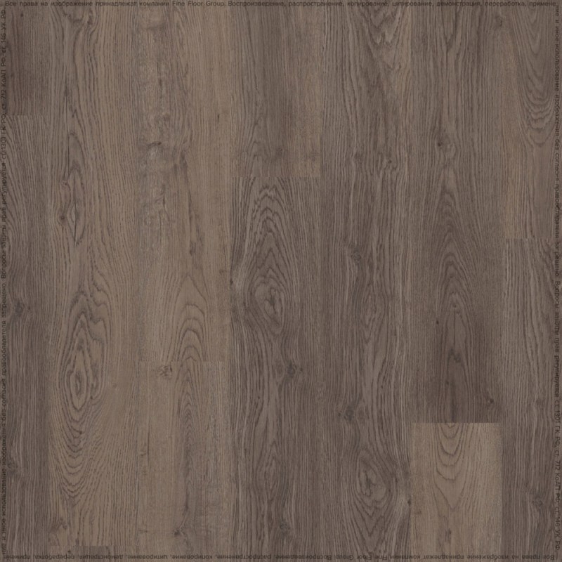 adelar_solida_04880_2