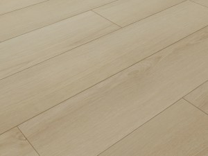 altastep_3304_3