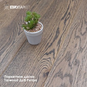 insta-portfolio-tarwood-retro23