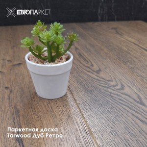 insta-portfolio-trwood-retro24