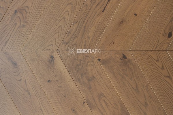 insta-tarwood_vezja_2