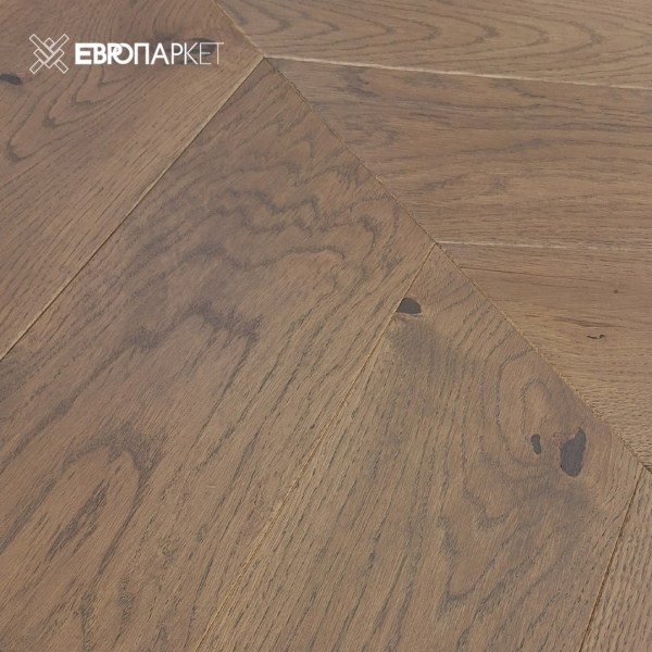 insta-tarwood_vezja_4