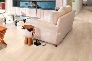 jasenstory138whiteorchid2